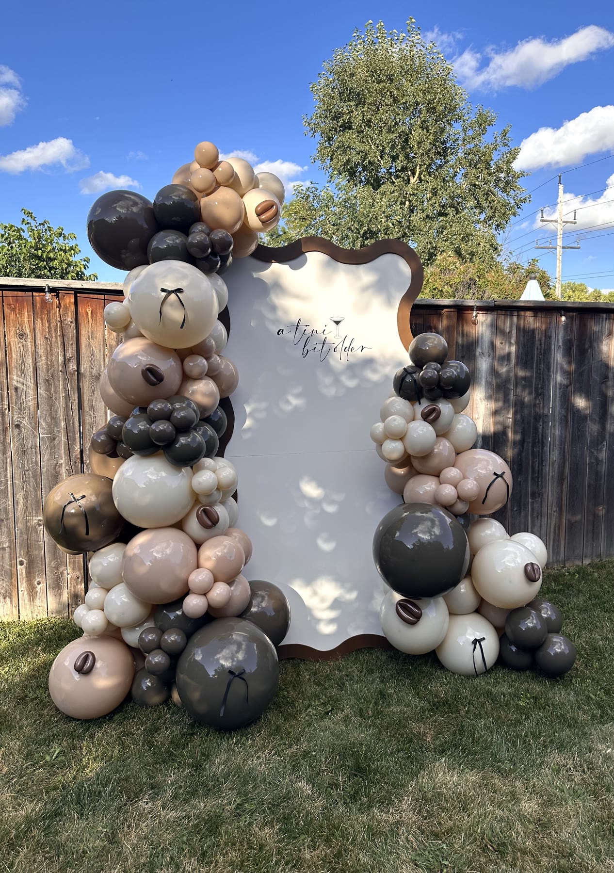 Balloon garland on a wavy-edge backdrop panel at an outdoor Winnipeg party
