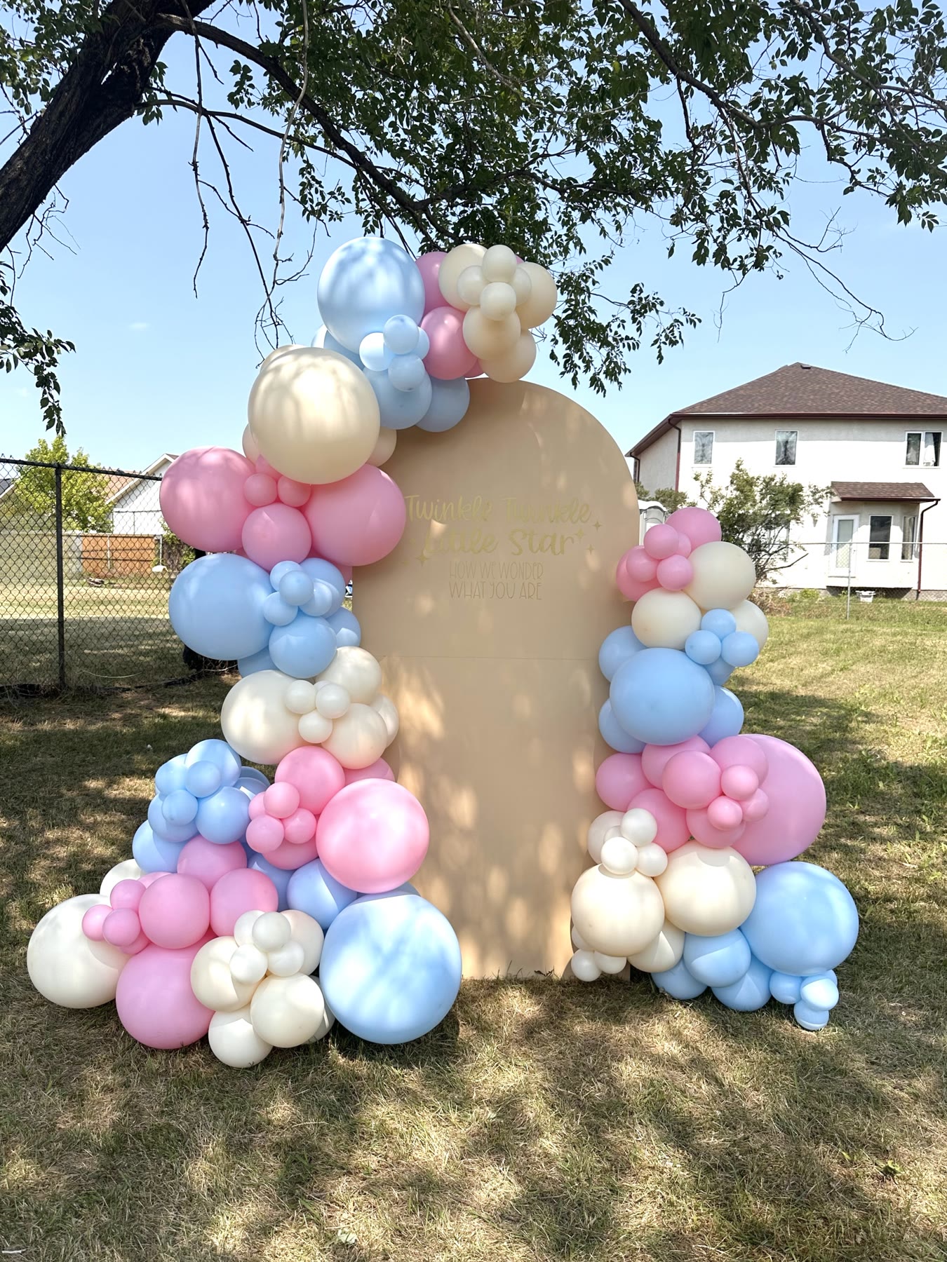 Pastel butterfly-themed balloon garland and backdrop with a custom sign, Winnipeg
