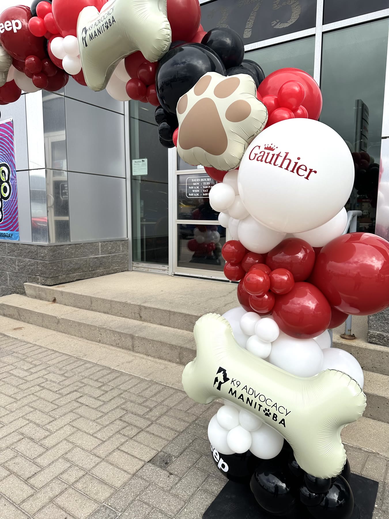 Branded balloon arch with printed foil balloons at a Winnipeg car dealership charity event